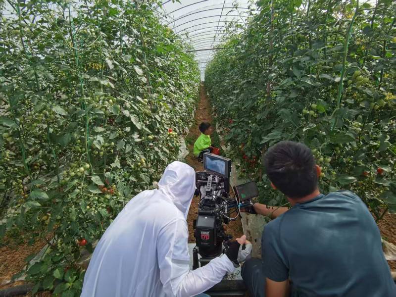 长宁区产品宣传视频拍摄公司进阶指南，助力品牌抢占传播高地